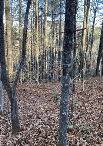 $339,900 | 1-2 Toe River Lane, Newland, NC 28657