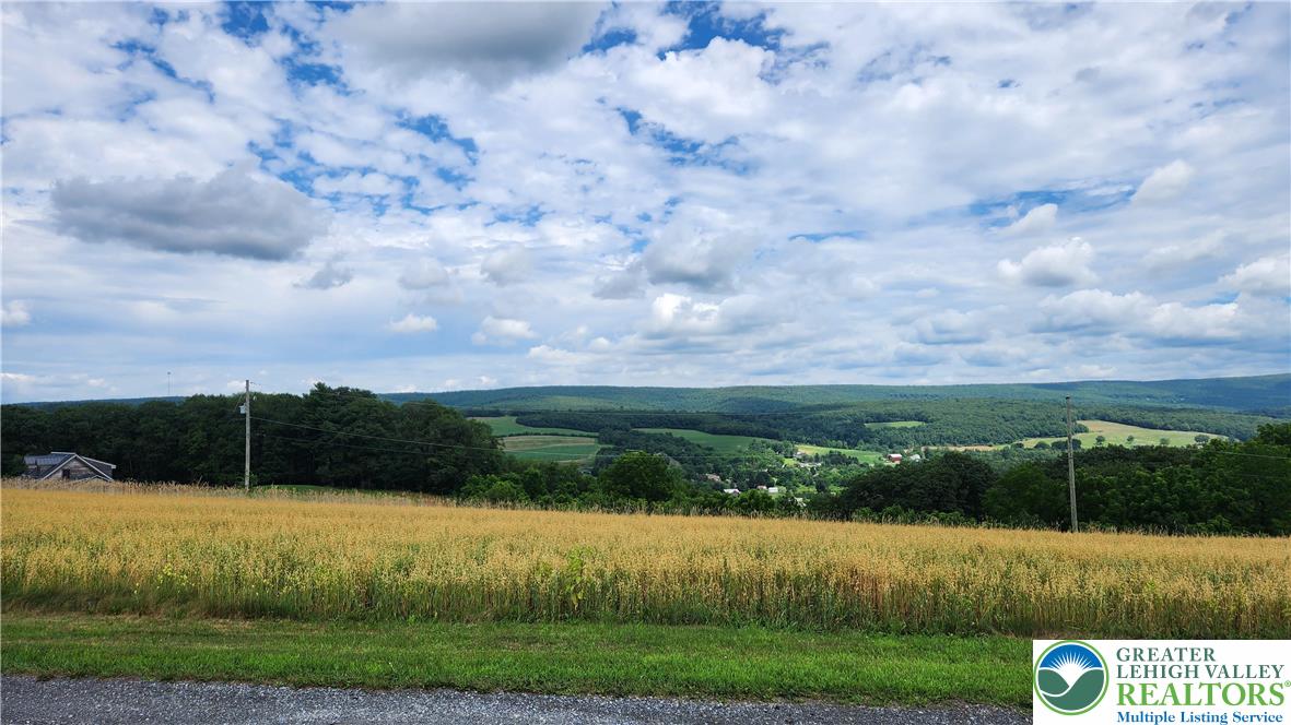 185 Ridge Cup Road New Ringgold, PA 17960 - Photo 5 of 20