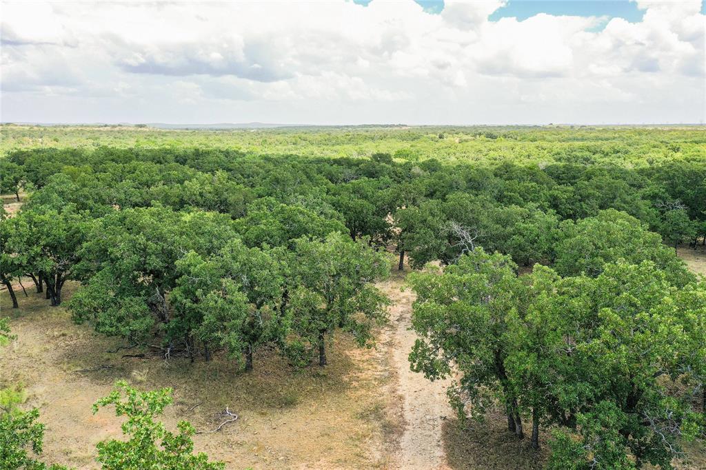 16.5-acres Burwick Road Jacksboro, TX 76458 - Photo 13 of 38