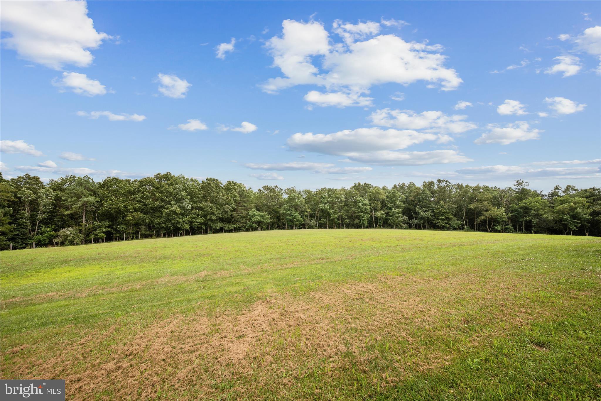 886 Middle Fork Road Cross Junction, VA 22625 - Photo 63 of 80 Backyard