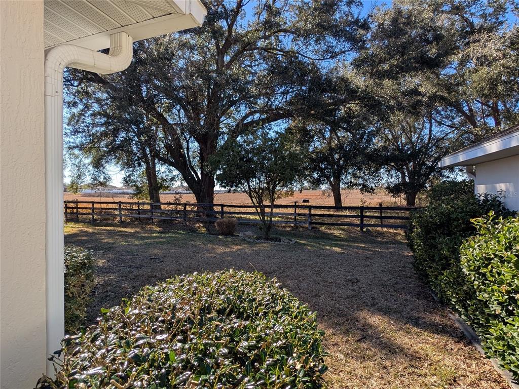 9573 Southwest 53rd Circle Ocala, FL 34476 - Photo 3 of 85 a view of a yard with a tree