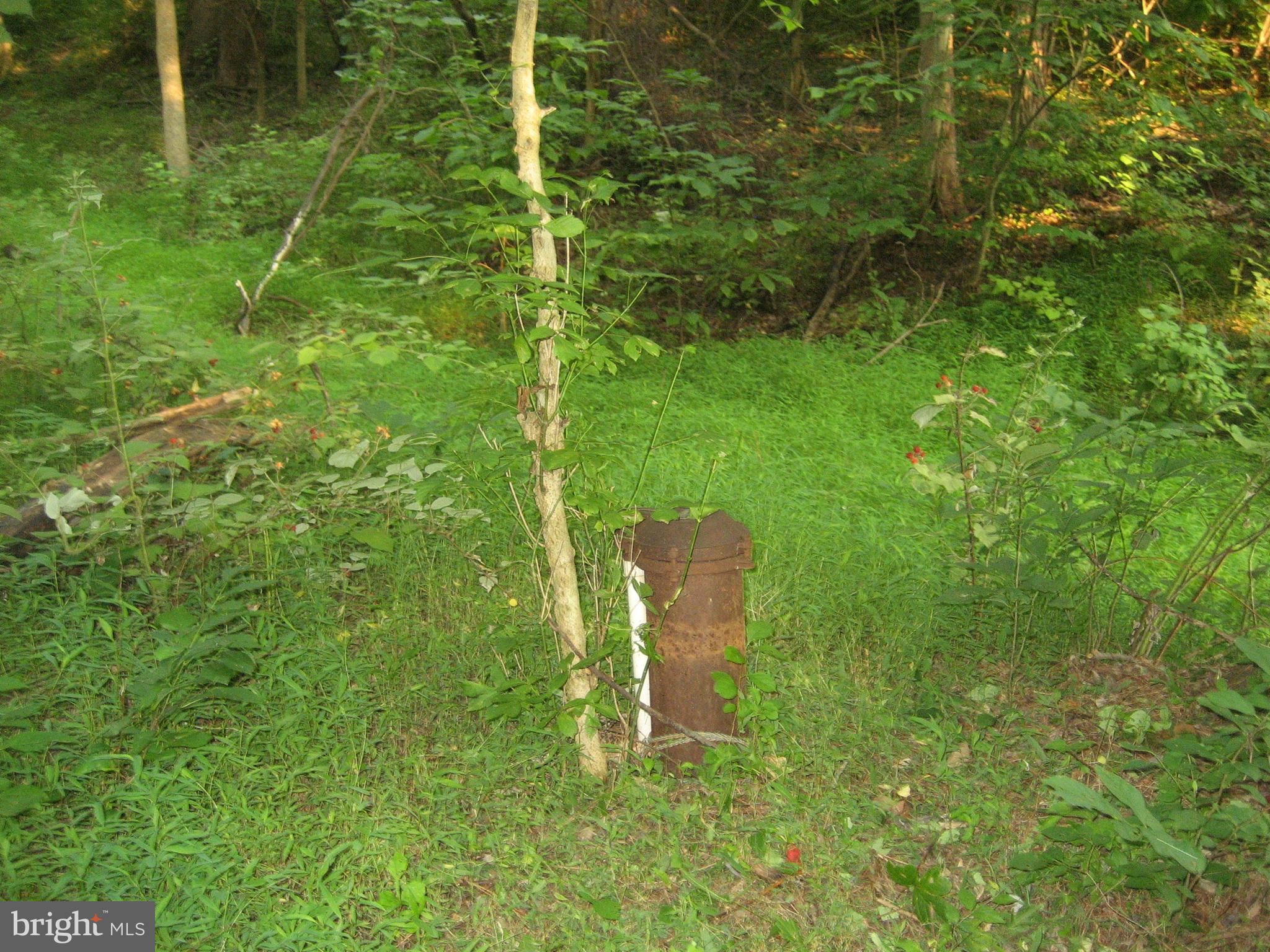 13162 Taylorstown Road Leesburg, VA 20176 - Photo 12 of 13 The 1987 drilled well
