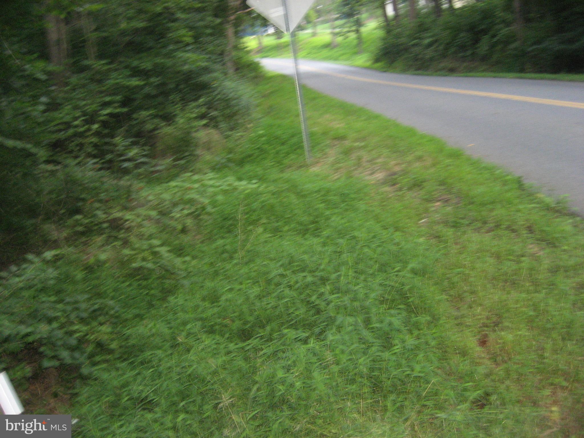 9.54 acres on Taylorstown Road