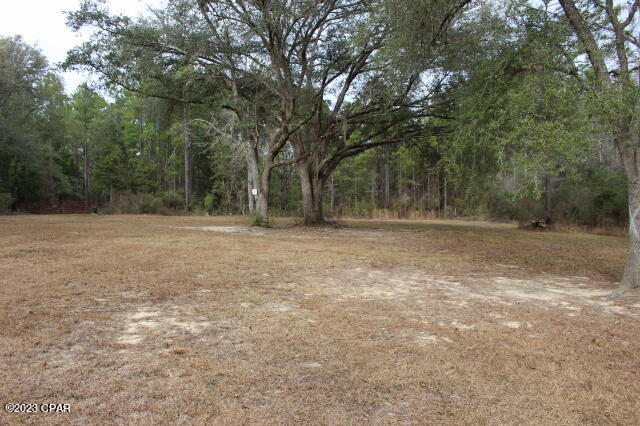 1957 Field Bay Road Caryville, FL 32427 - Photo 9 of 18 Gallery Image 9