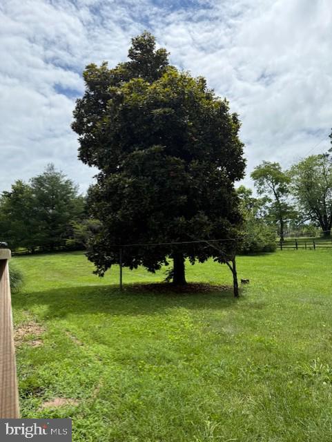 13342 Marsh Road Bealeton, VA 22712 - Photo 4 of 25 a view of park with trees