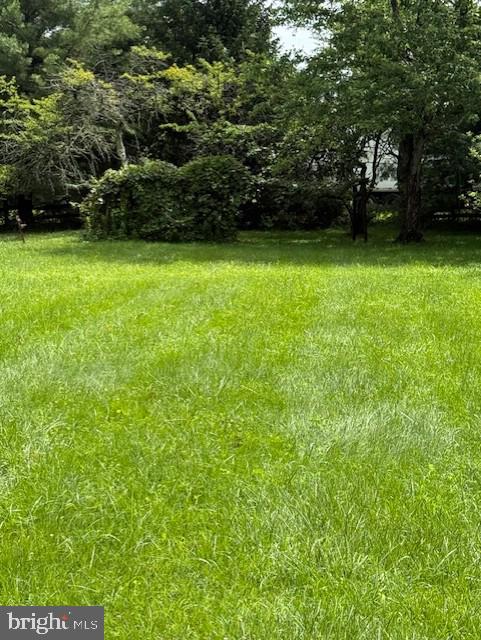 13342 Marsh Road Bealeton, VA 22712 - Photo 9 of 25 a view of a green yard