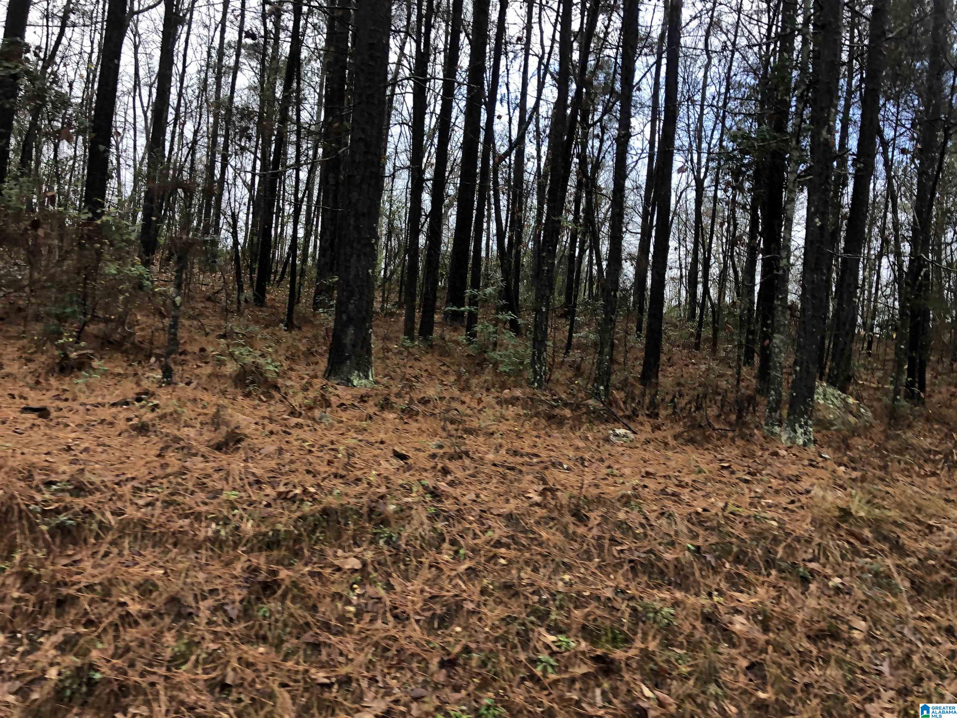0 Autumn Ridge Trail, Unit 26 Pell City, AL 35128 - Photo 28 of 31