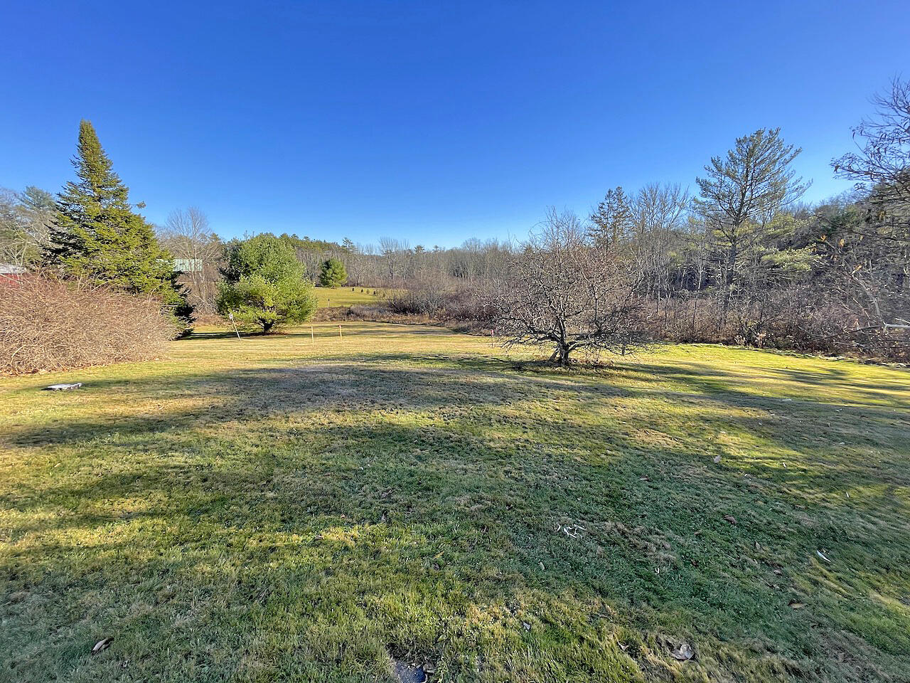 40 Highway 129 Walpole, ME 04573 - Photo 2 of 23 Back Yard