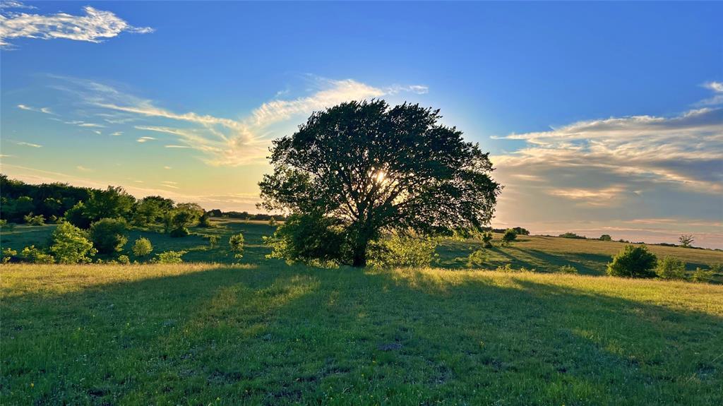 0 Fm 3206 St. Jo, TX 76265 - Photo 27 of 34
