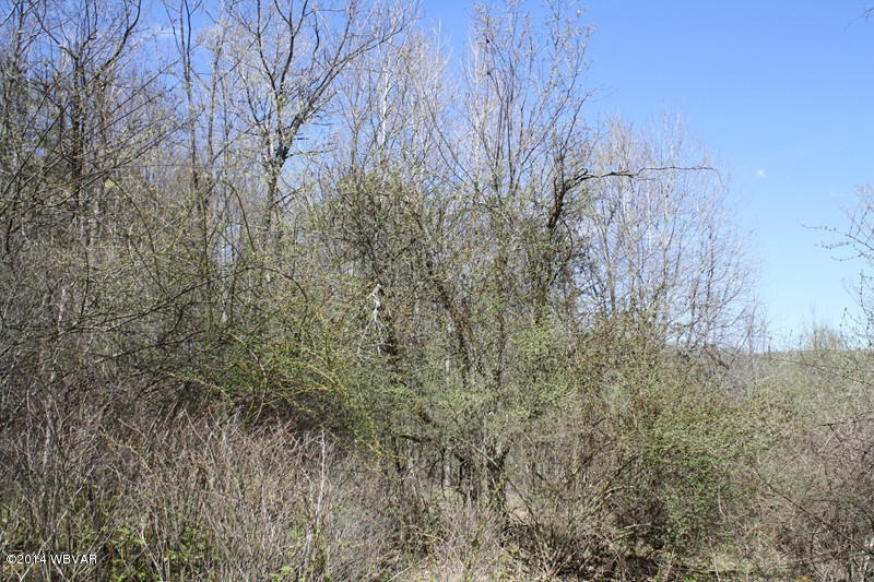 480 Trowbridge Station Road Millerton, PA 16936 - Photo 47 of 77 126390-47