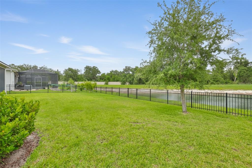 11527 Cedar Valley Drive Riverview, FL 33569 - Photo 36 of 51