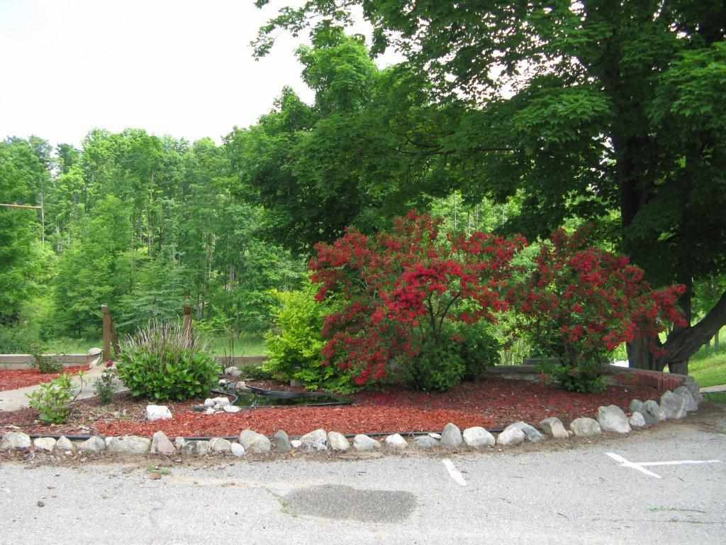 4651 Lemcool Road Grawn, MI 49637 - Photo 10 of 50 1783576-9.JPG