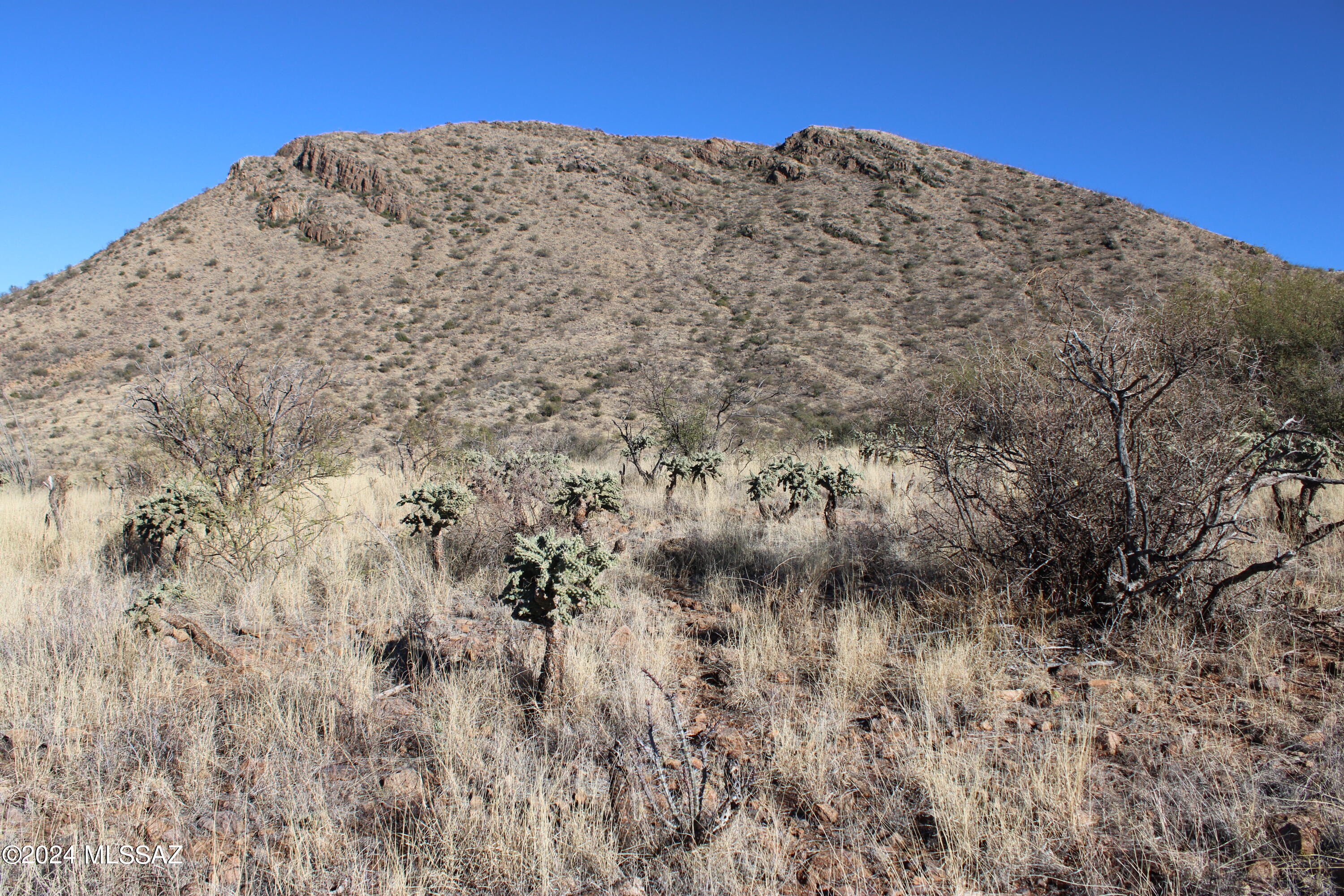 1813 Círculo Tortuga, Unit 20 Rio Rico, AZ 85648 - Photo 3 of 4