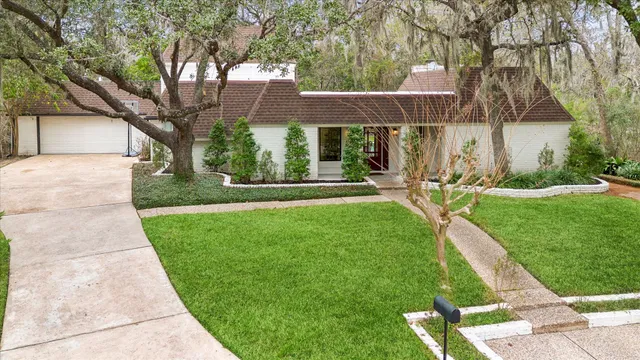 a view of a park with large trees