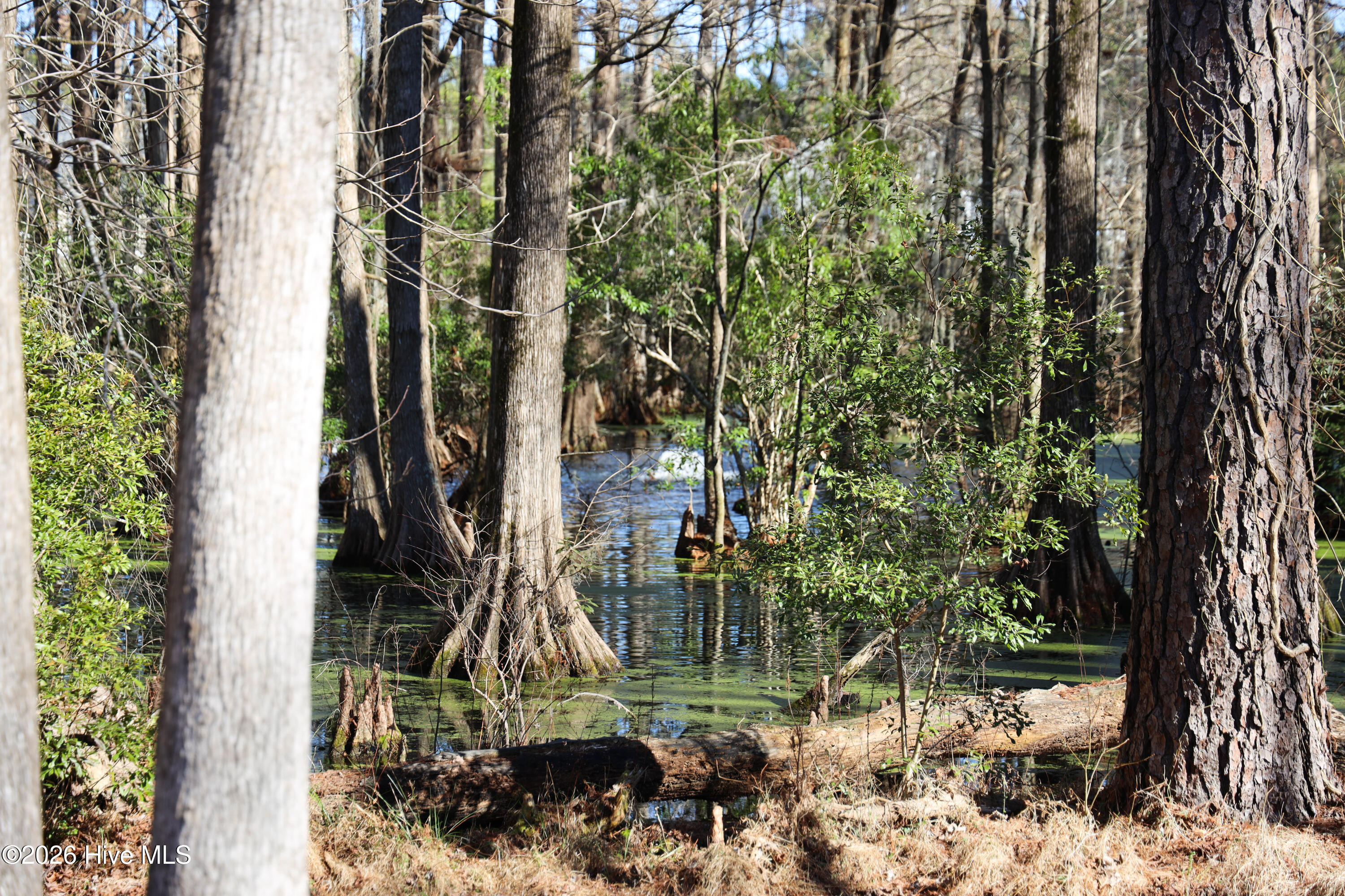 167 Hydrangea Lane Hampstead, NC 28443 - Photo 5 of 77 A9CDFE11-4461-4C18-BD32-D2677C3B5BC3