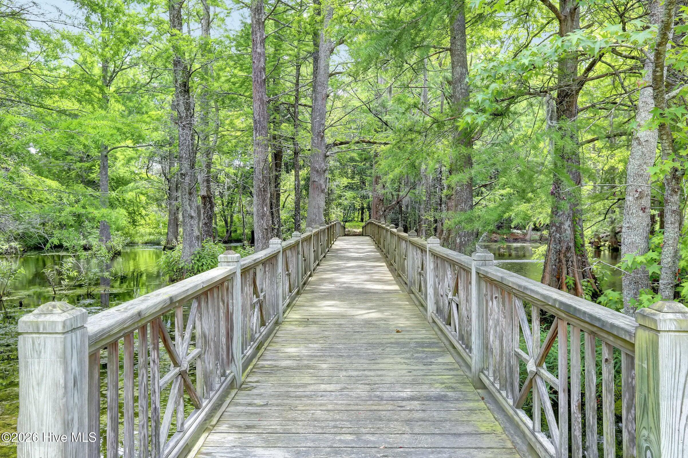 167 Hydrangea Lane Hampstead, NC 28443 - Photo 63 of 77 13