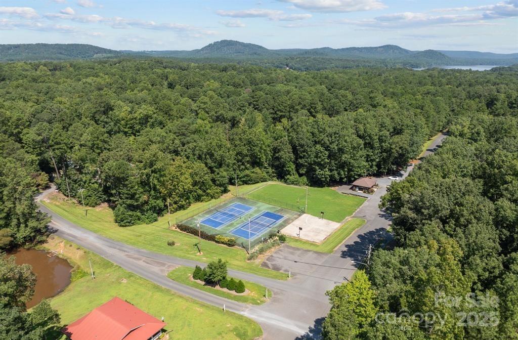 242 Creswell Road Mount Gilead, NC 27306 - Photo 19 of 20 a view of a mountain with a yard