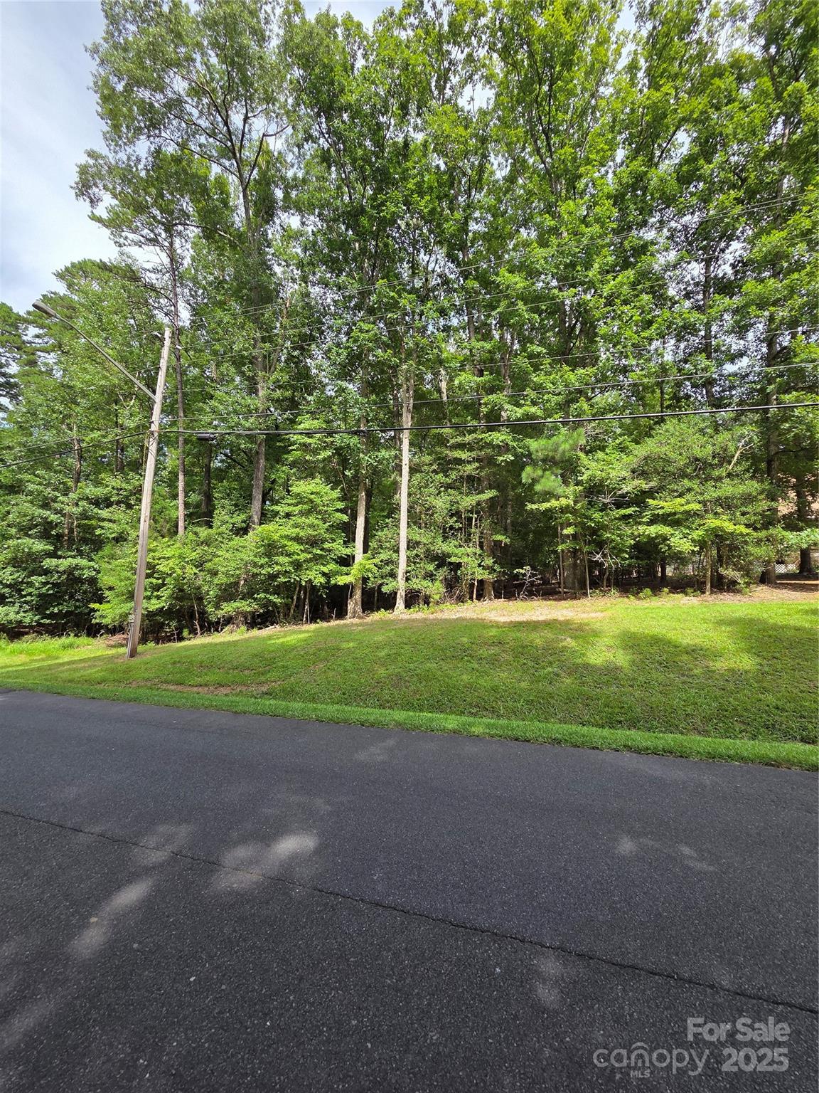 242 Creswell Road Mount Gilead, NC 27306 - Photo 3 of 20 a view of a field with of trees