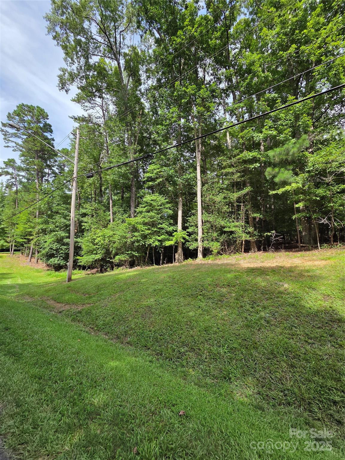 242 Creswell Road Mount Gilead, NC 27306 - Photo 5 of 20 a view of a park with large trees