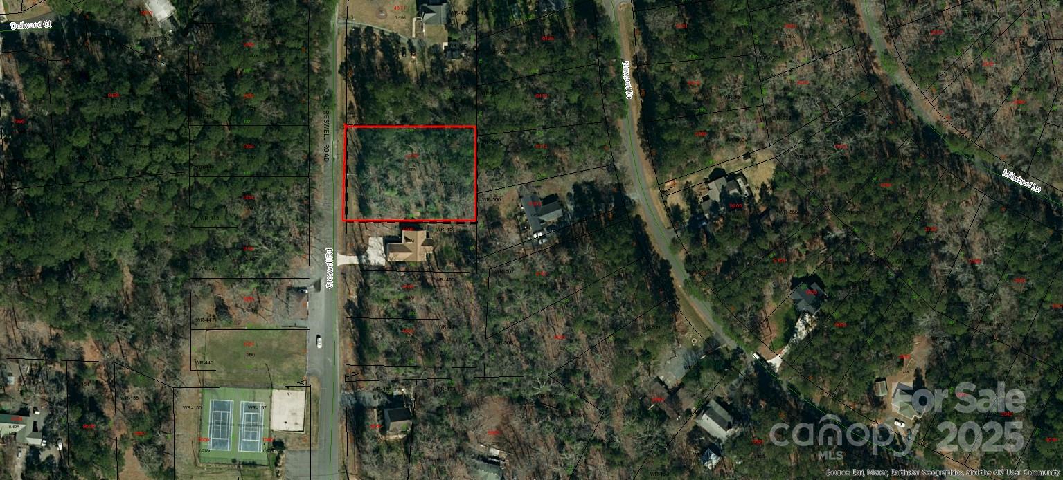 242 Creswell Road Mount Gilead, NC 27306 - Photo 7 of 20 a view of a forest