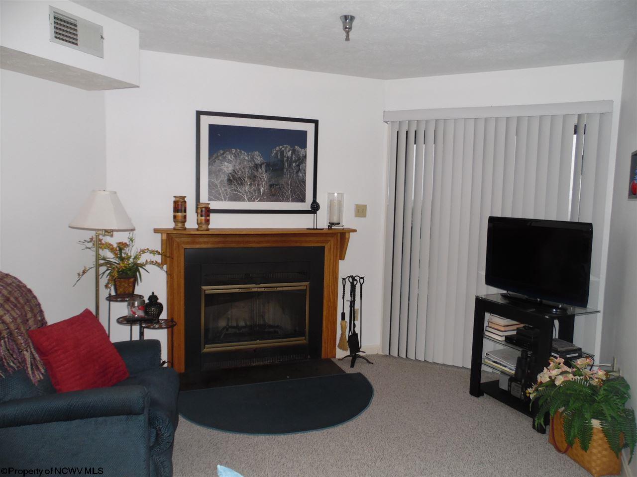 253 Beaver Ridge Davis, WV 26260 - Photo 1 of 7 Gallery Image 1