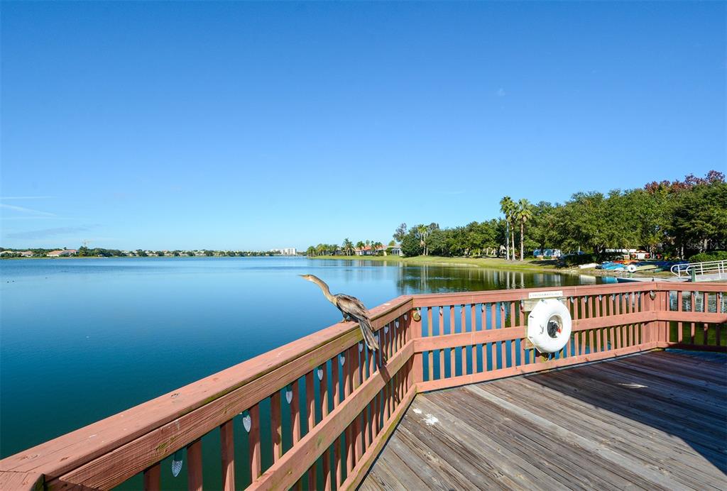 6716 Spring Moss Place Lakewood Ranch, FL 34202 - Photo 50 of 52