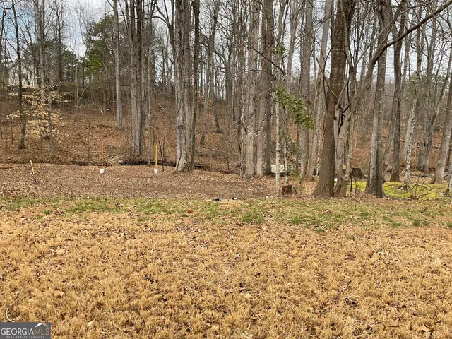 a view of outdoor space with trees
