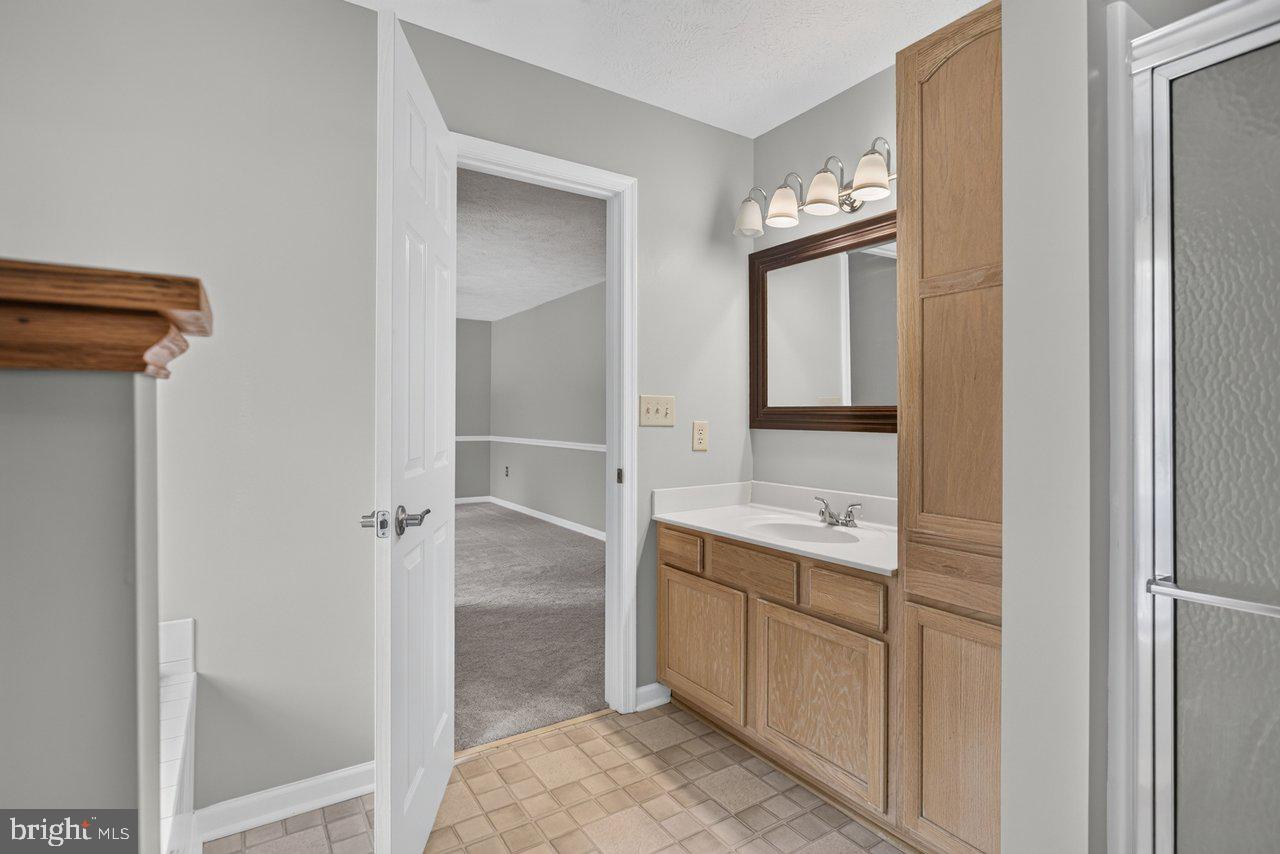 220 Oates Road Star Tannery, VA 22654 - Photo 39 of 109 Primary Bathroom