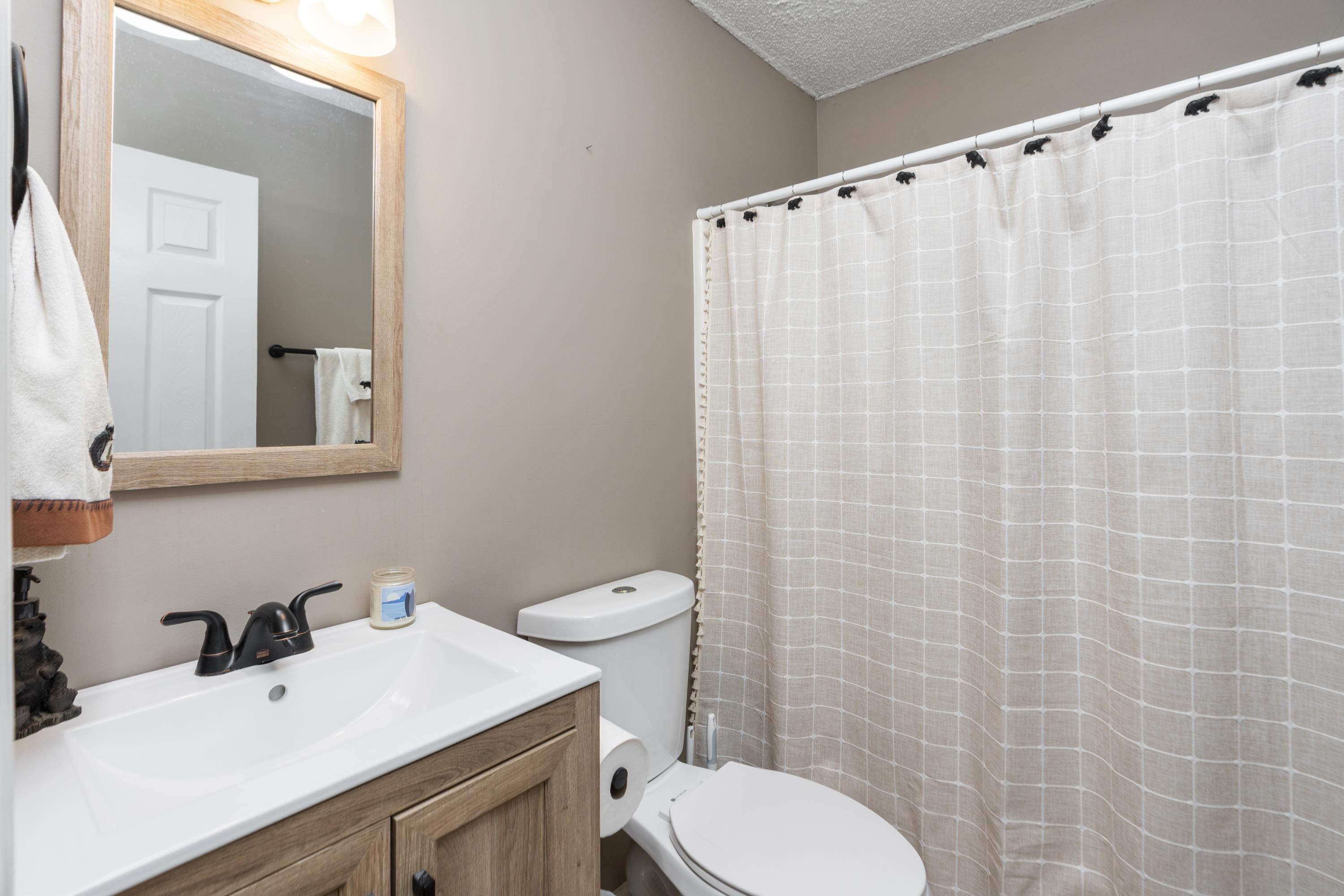 1625 D Street Waynesboro, VA 22980 - Photo 19 of 33 a bathroom with a sink a toilet and a mirror