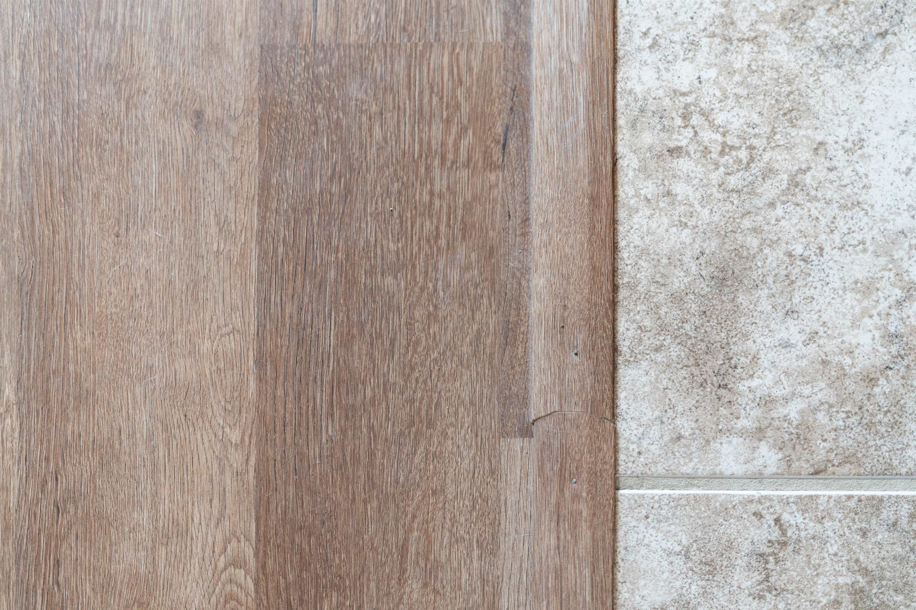 1625 D Street Waynesboro, VA 22980 - Photo 8 of 33 a close up view of a window