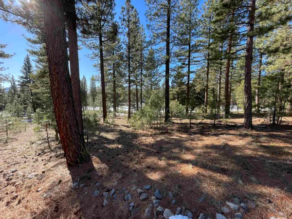 a view of a lake with a house in the background