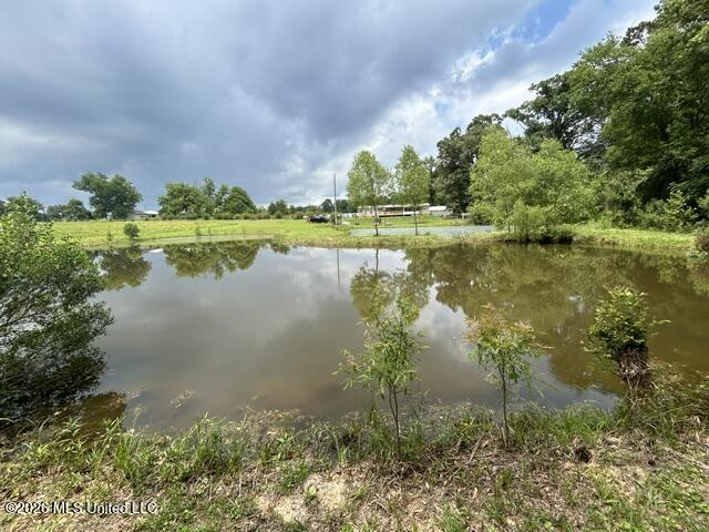 2096 Swilley Road Wesson, MS 39191 - Photo 81 of 86 IMG_4368