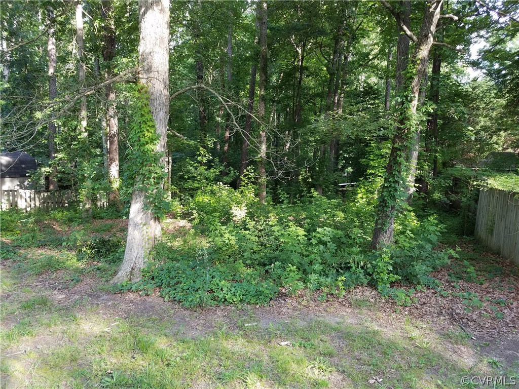 7835 Brightridge Road Chesterfield, VA 23832 - Photo 18 of 18 a view of a lush green forest