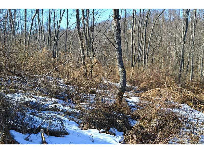 Greaves Road West Alexander, PA 15376 - Photo 2 of 6 Land/Lot.