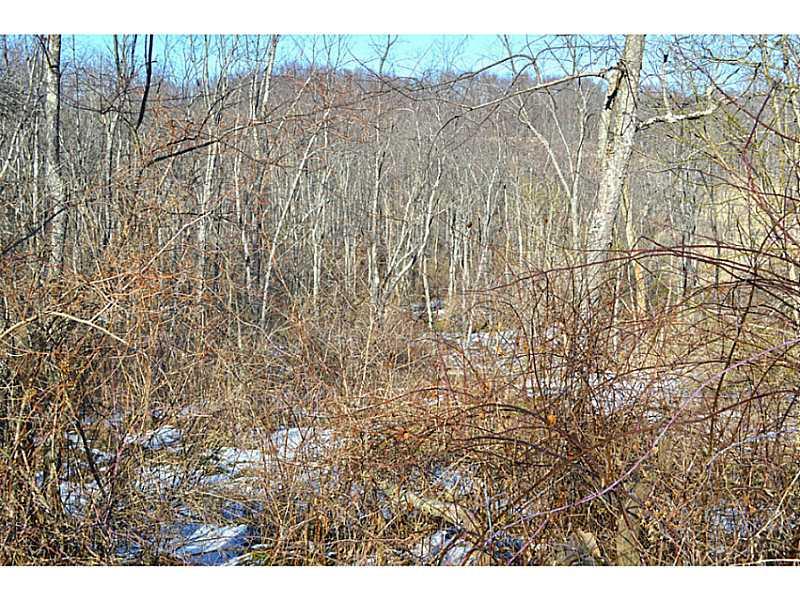 Greaves Road West Alexander, PA 15376 - Photo 3 of 6 Land/Lot.