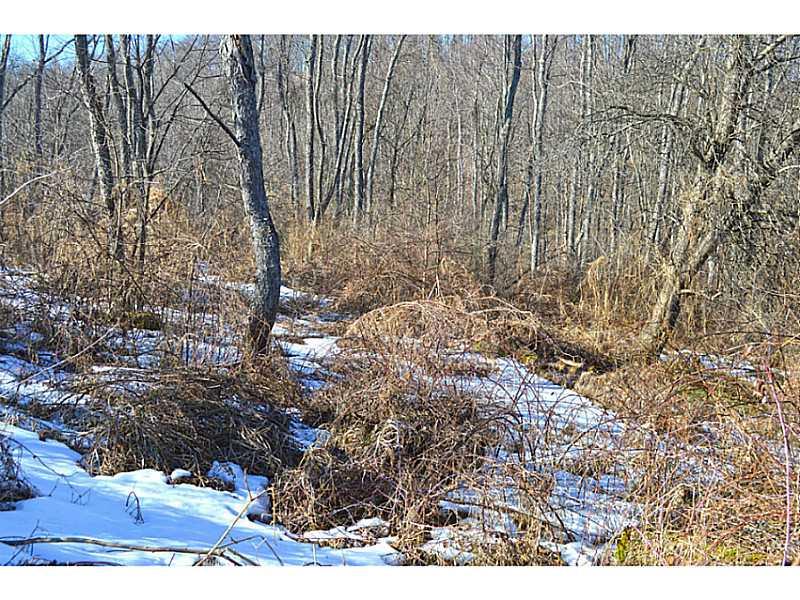 Greaves Road West Alexander, PA 15376 - Photo 4 of 6 Land/Lot.