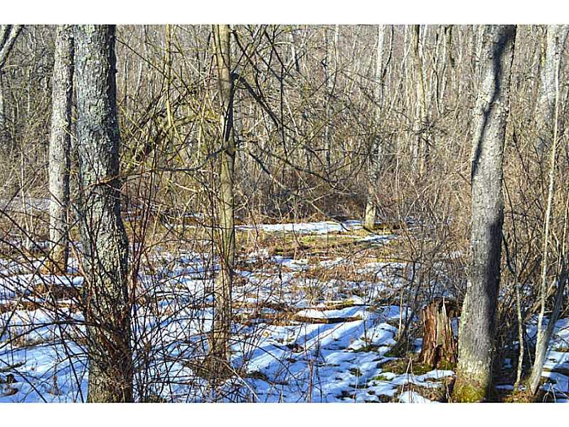 Greaves Road West Alexander, PA 15376 - Photo 5 of 6 Land/Lot.