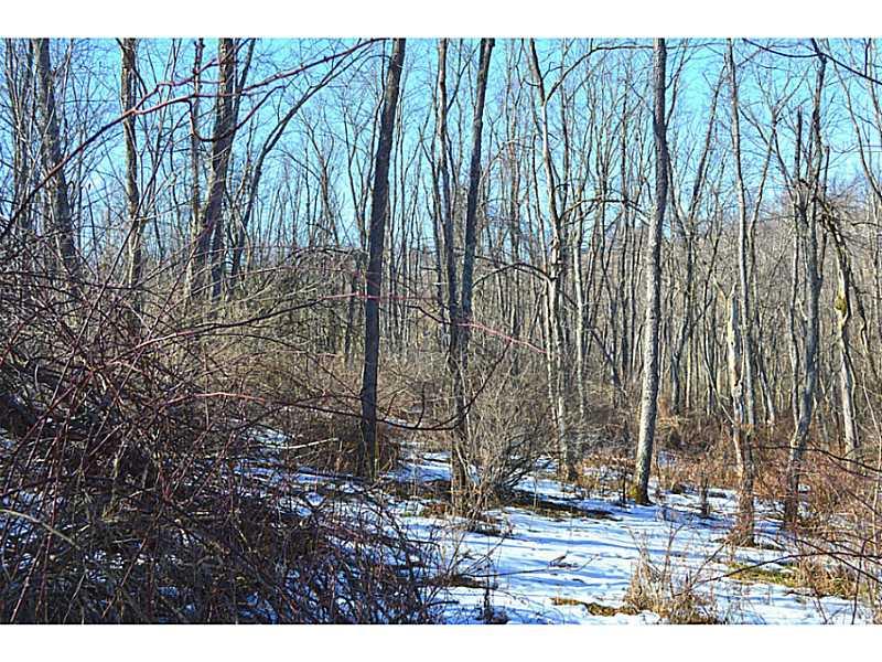 Greaves Road West Alexander, PA 15376 - Photo 6 of 6 Land/Lot.