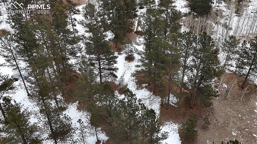 210 Rhyolite Lane Florissant, CO 80816 - Photo 12 of 16