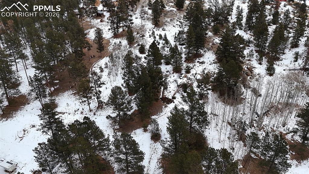 210 Rhyolite Lane Florissant, CO 80816 - Photo 14 of 16 a view of a tree