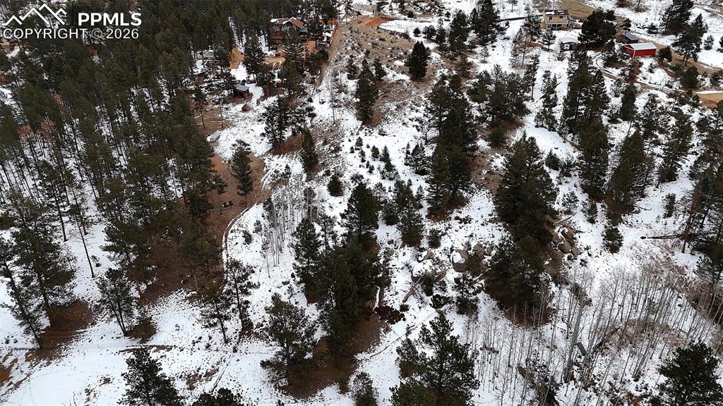 210 Rhyolite Lane Florissant, CO 80816 - Photo 15 of 16 a view of tree
