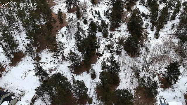 $29,999 | 210 Rhyolite Lane, Florissant, CO 80816