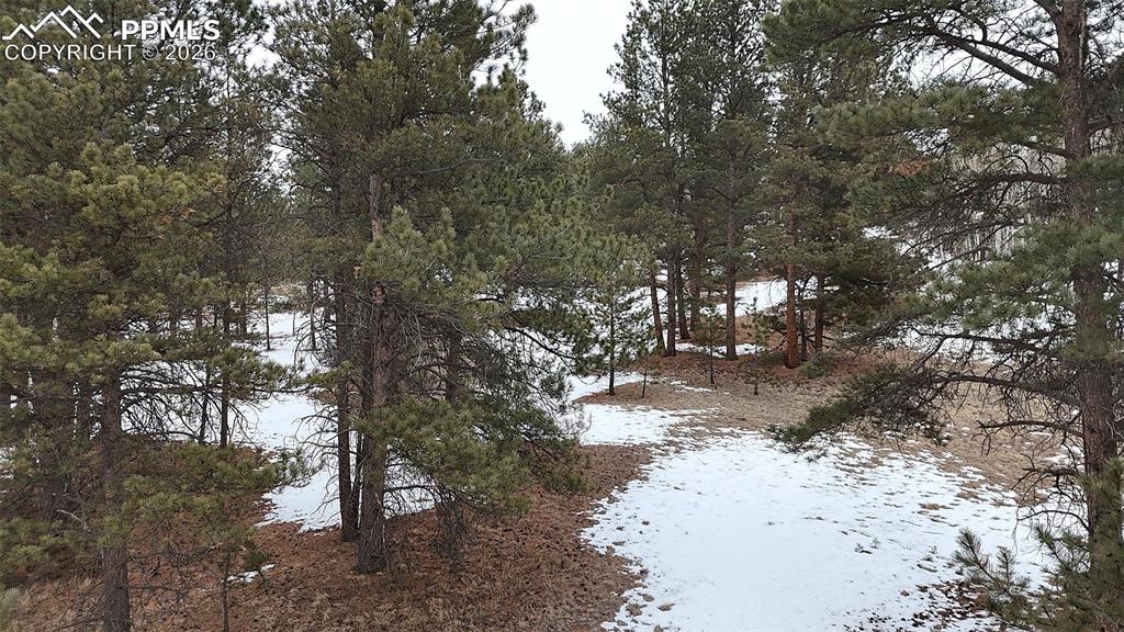 210 Rhyolite Lane Florissant, CO 80816 - Photo 4 of 16 a view of a covered with snow in the background