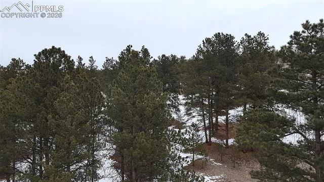 a view of a city with lush green forest