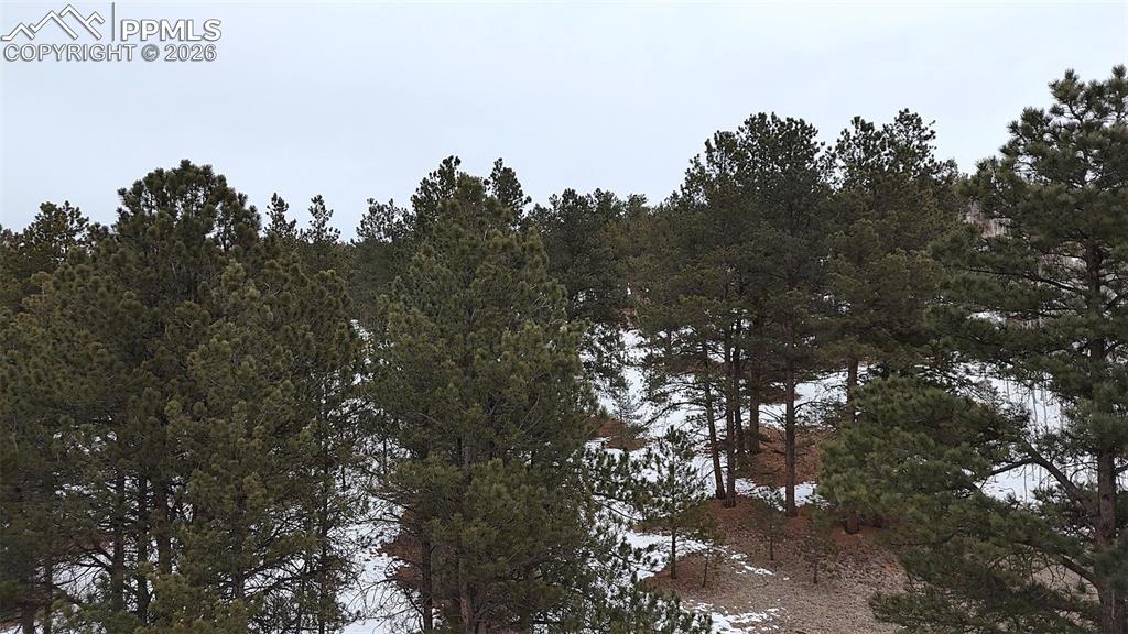 210 Rhyolite Lane Florissant, CO 80816 - Photo 5 of 16 a view of a city with lush green forest