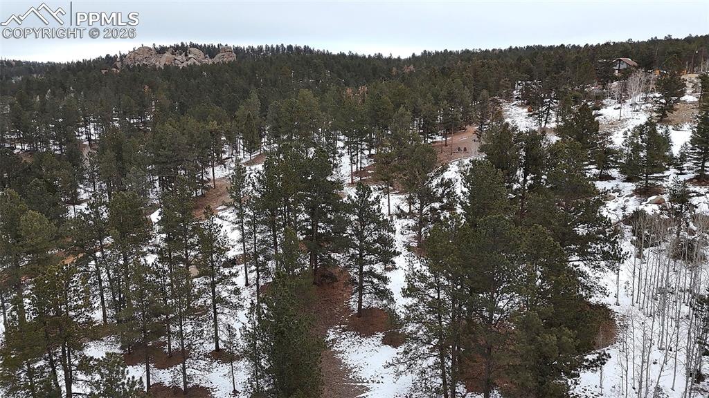 210 Rhyolite Lane Florissant, CO 80816 - Photo 9 of 16 a view of mountain view with lots of trees
