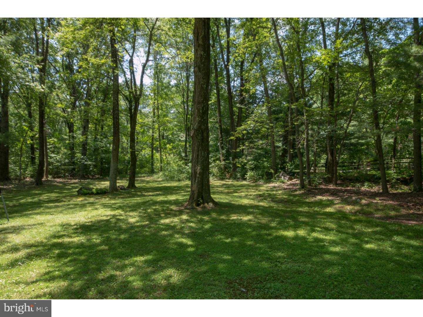 57 Finley Road Princeton, NJ 08540 - Photo 19 of 22 Back Yard