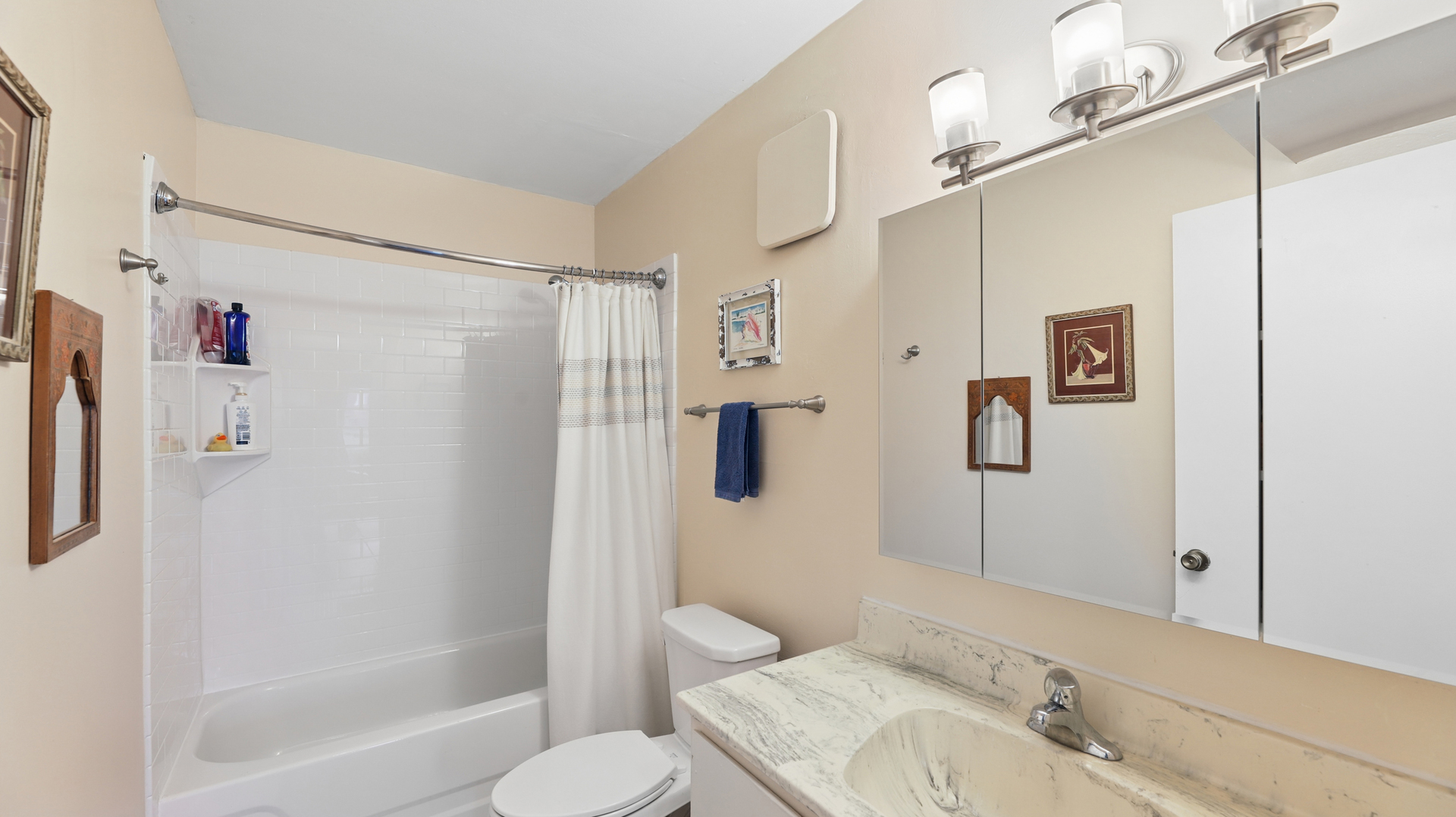 608 Waterford Road South, Unit 1B Schaumburg, IL 60193 - Photo 11 of 21