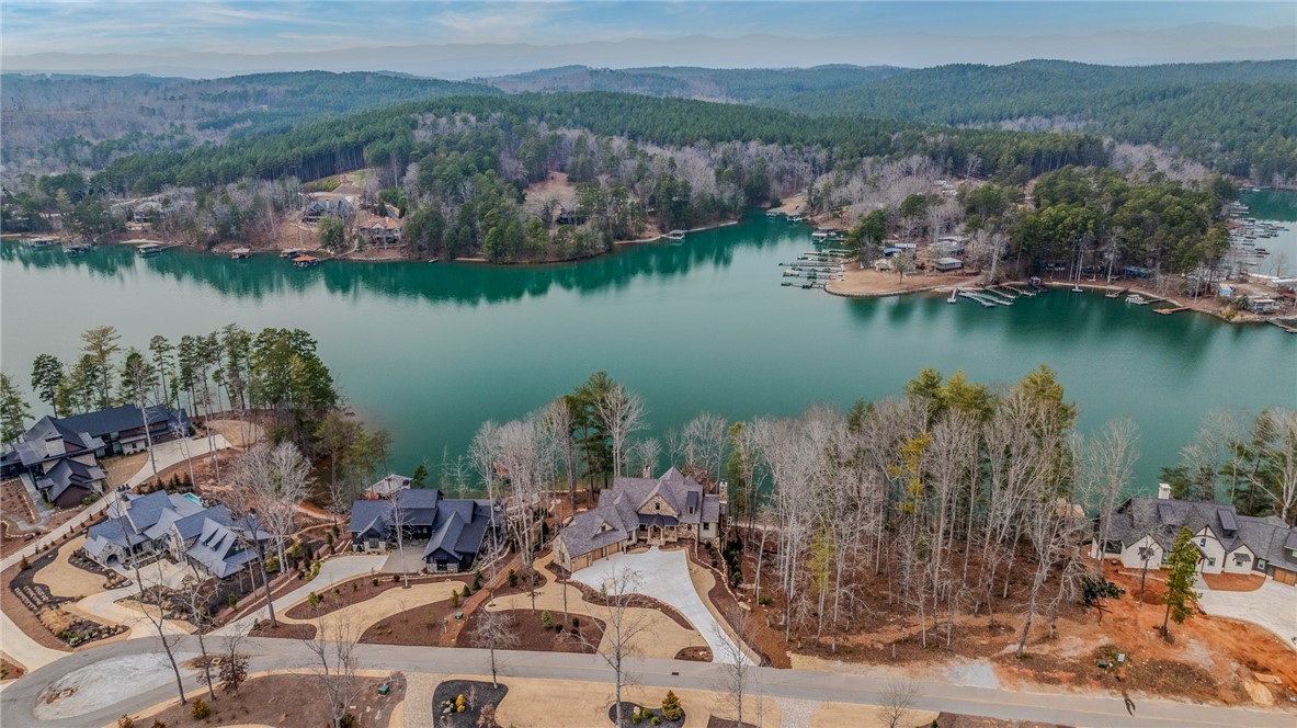 462 Peninsula Ridge Sunset, SC 29685 - Photo 30 of 37 Gallery Image 30