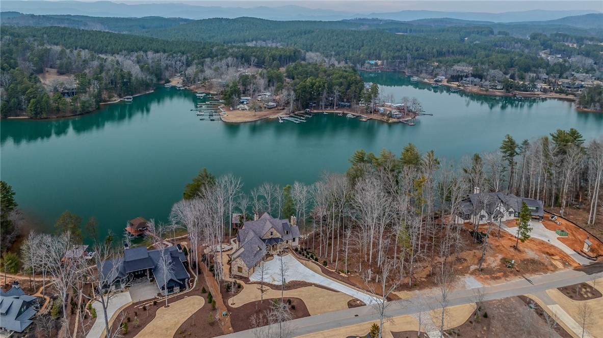 462 Peninsula Ridge Sunset, SC 29685 - Photo 31 of 37 Gallery Image 31